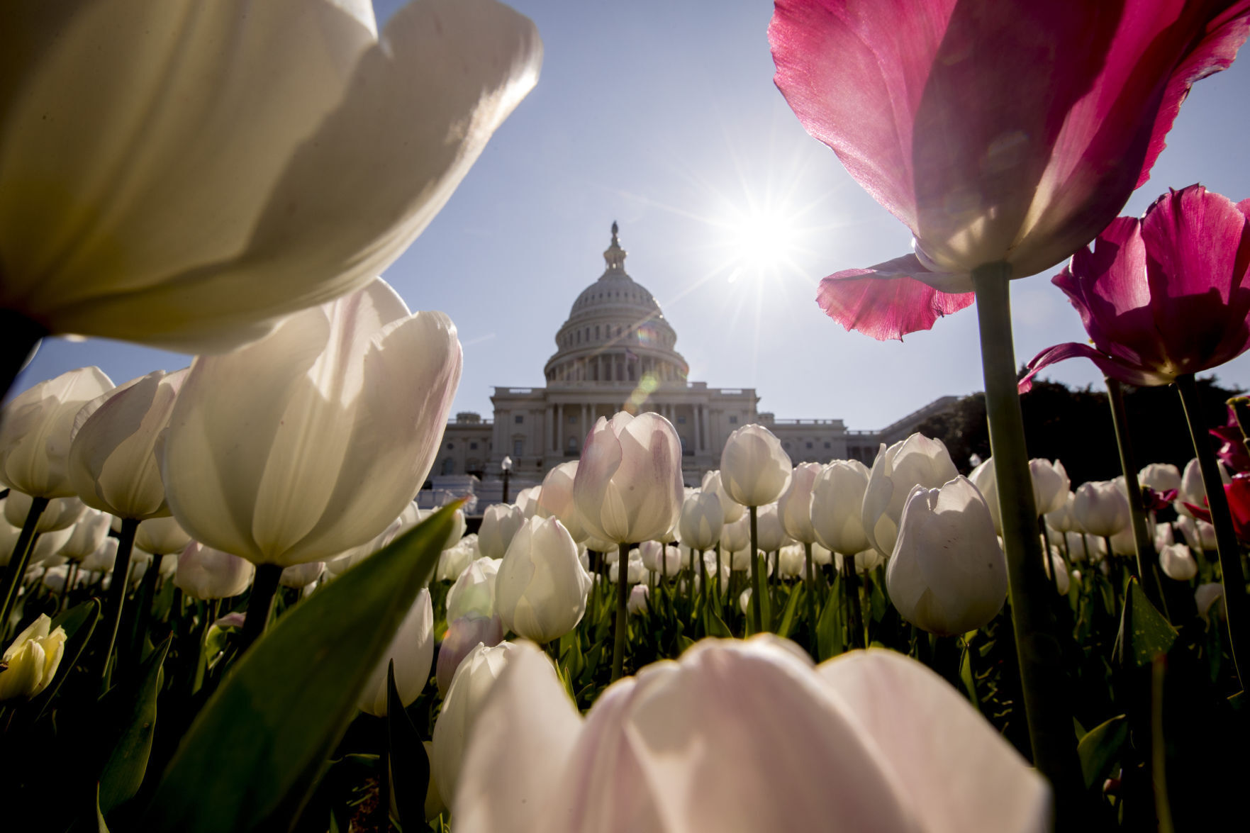 APTOPIX Virus Outbreak Washington